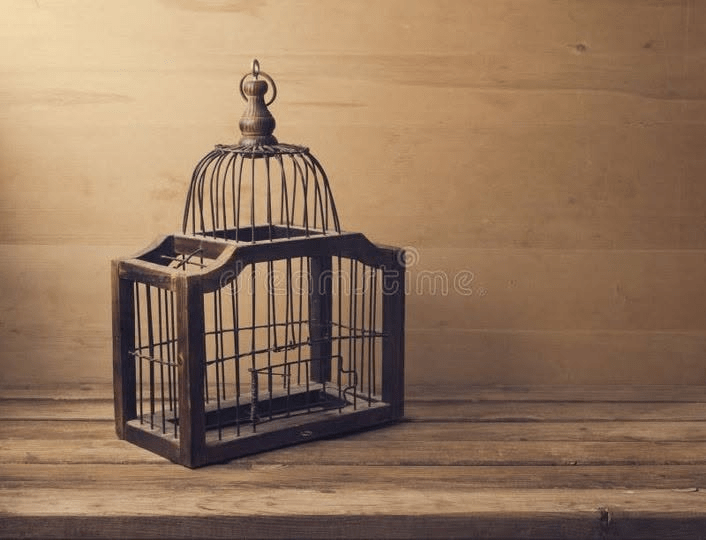 Take it Captive!
